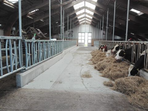 afbeelding 6