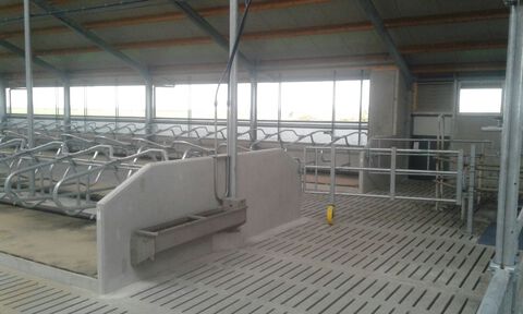 afbeelding 11
