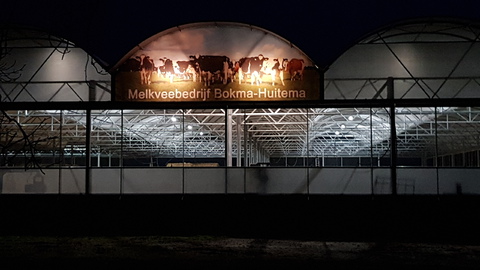 afbeelding 7